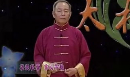 杨式91太极直播间,揭秘传统太极的精髓与魅力